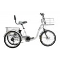 Tricycle électrique E132